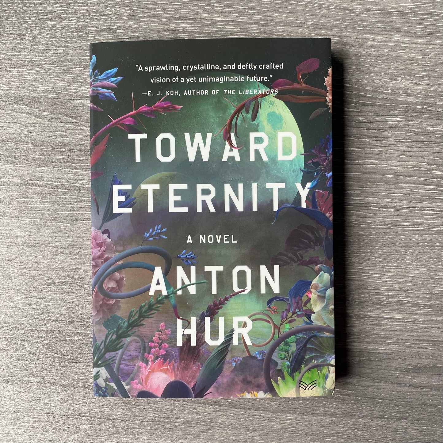 Toward Eternity by Anton Hur